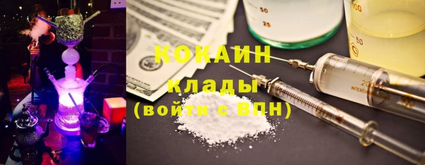 твердый Богданович