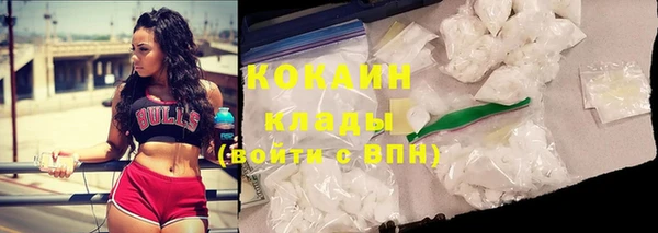 прущая мука Богородицк