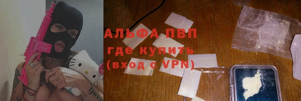 твердый Богданович
