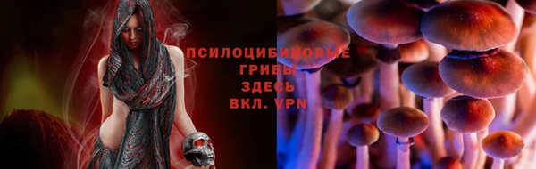 твердый Богданович
