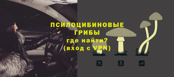 герыч Богородск